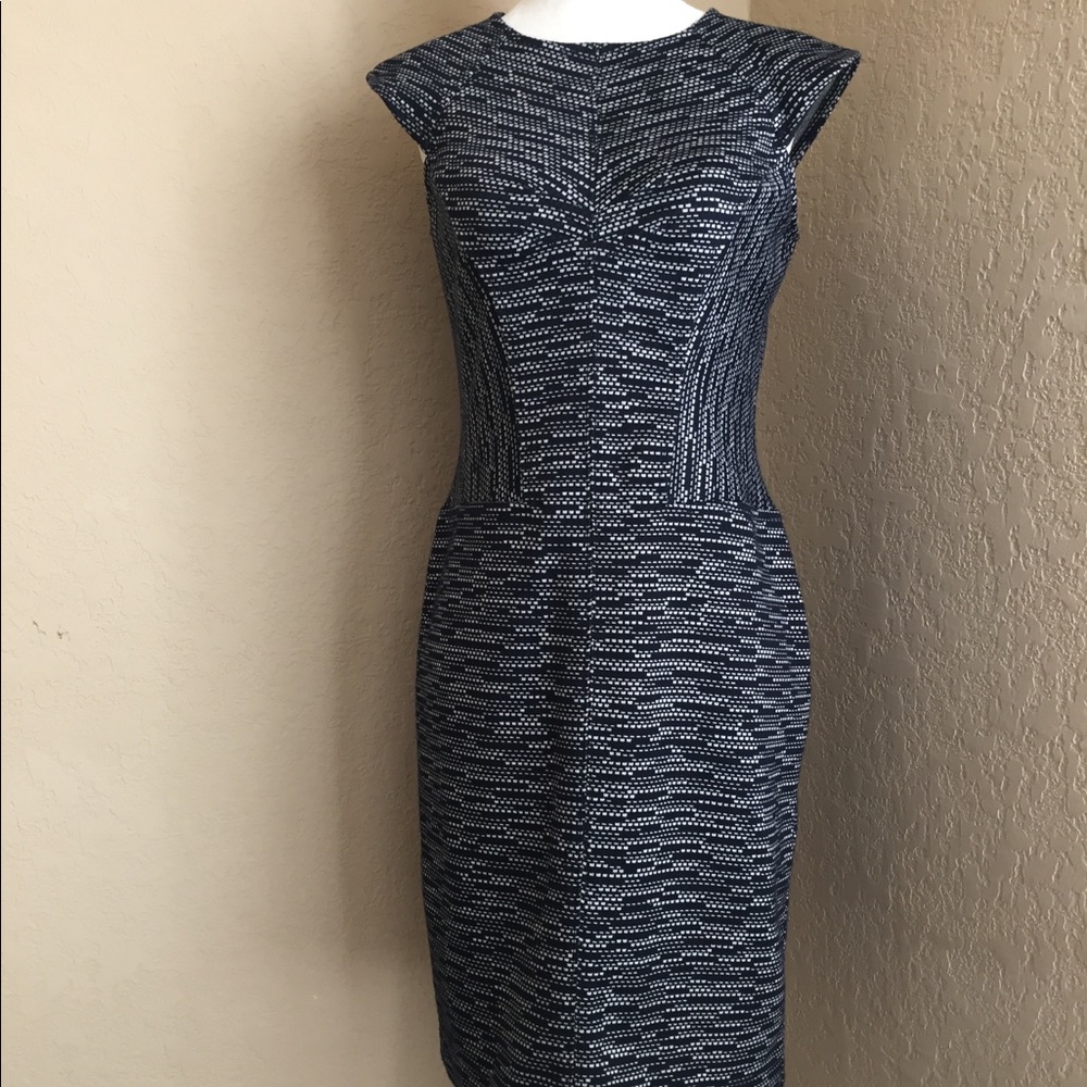 Ann Taylor Business Dress